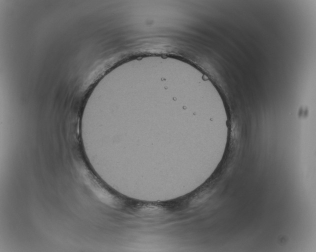 X0000111840397200909031709