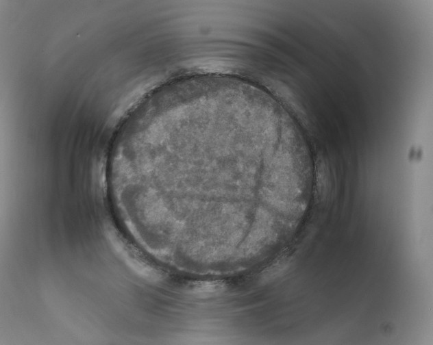 X0000111840398200909031709