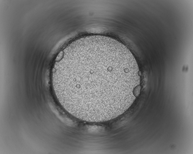 X0000111840400200909031709