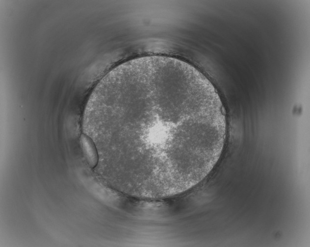 X0000111840401200909031709