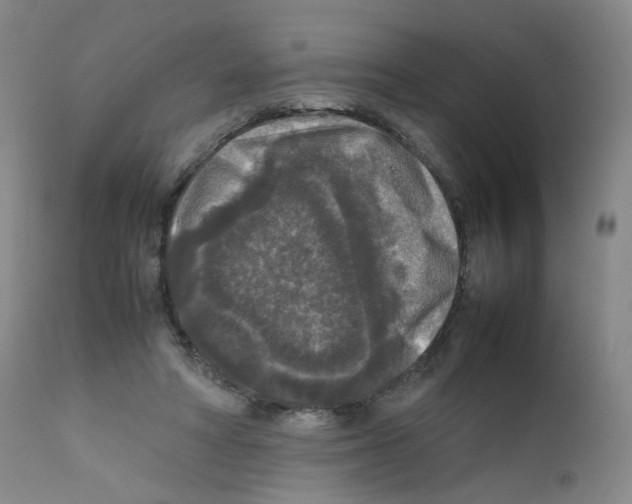 X0000111840402200909031709