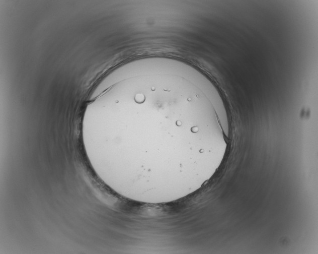 X0000111840405200909031709