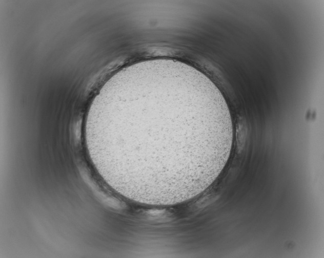 X0000111840406200909031709