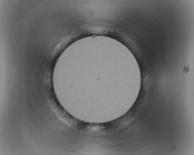 X0000111840407200909031709