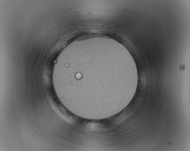 X0000111840408200909031709