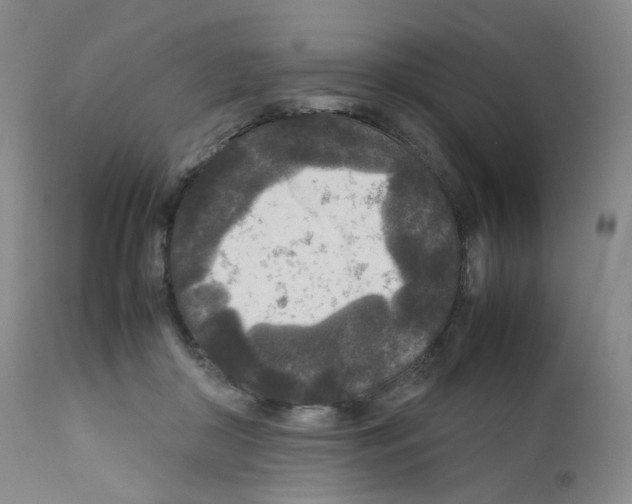 X0000111840410200909031708