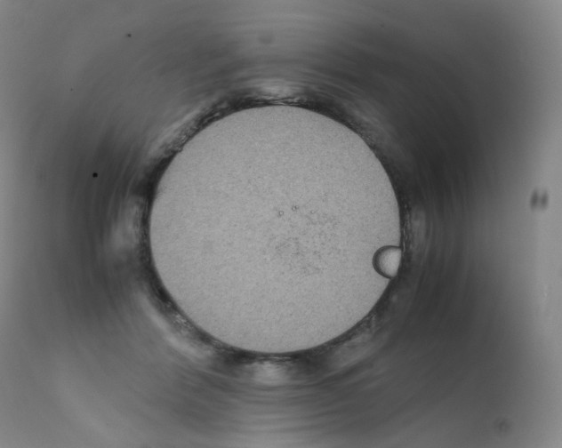 X0000111840412200909031708