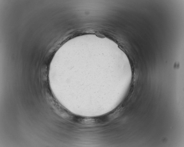 X0000111840413200909031708