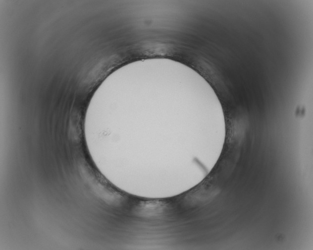 X0000111840414200909031708