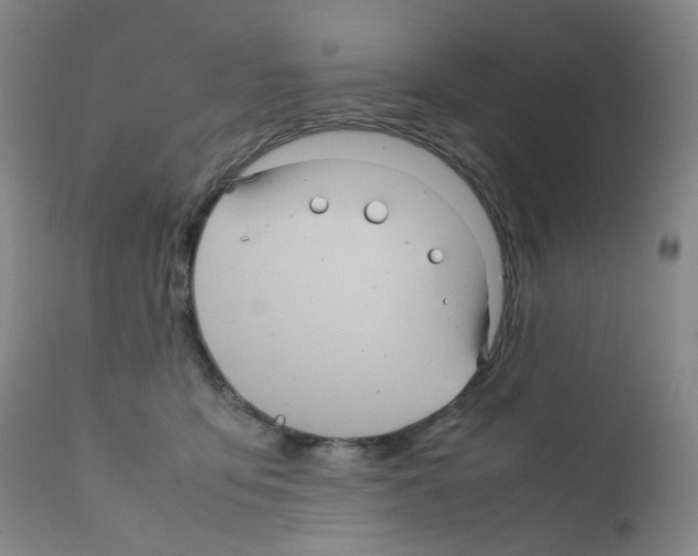 X0000111840419200909031708