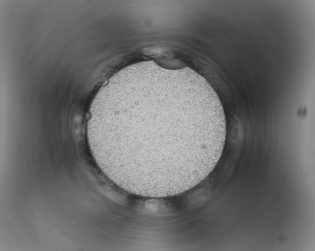 X0000111840420200909031708