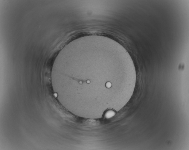 X0000111840421200909031708