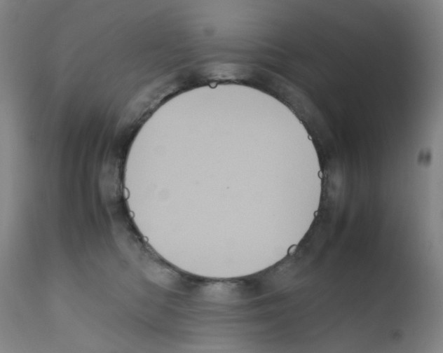 X0000111840422200909031708