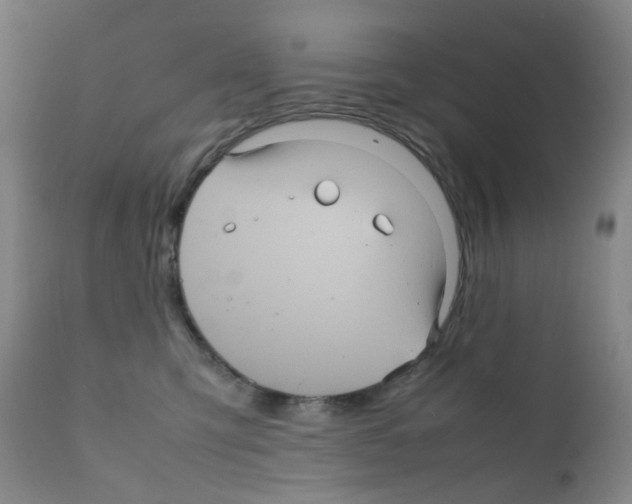 X0000111840423200909031708