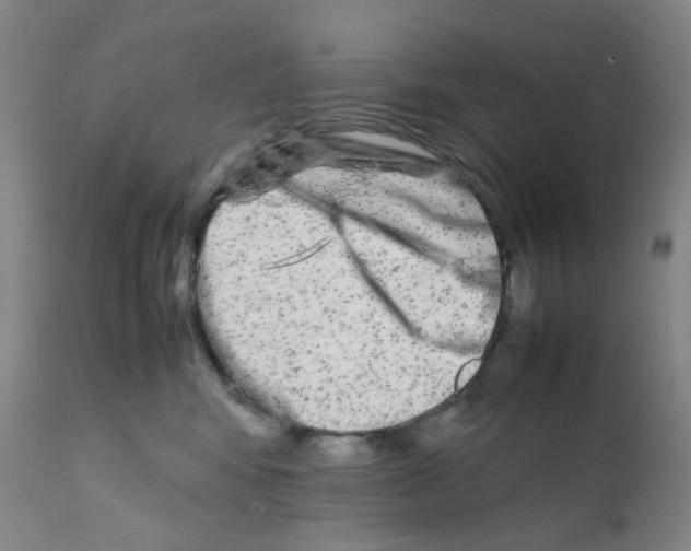 X0000111840424200909031708