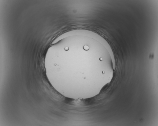 X0000111840425200909031708