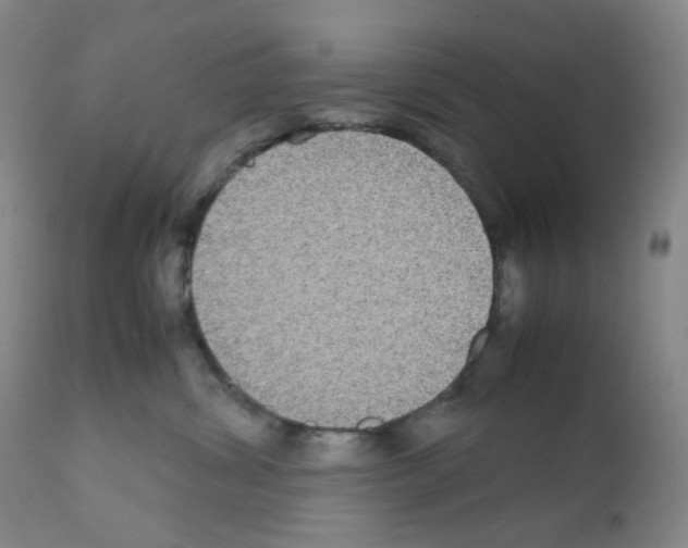 X0000111840428200909031708