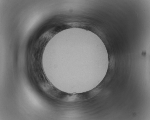 X0000111840430200909031708