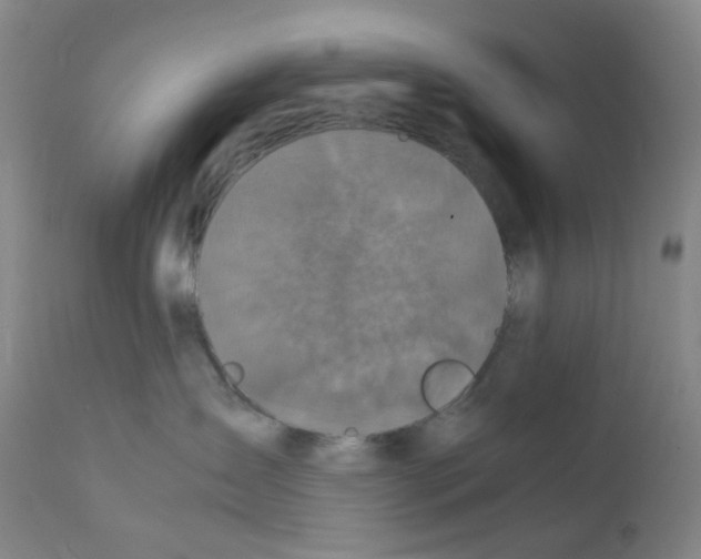 X0000111840431200909031708