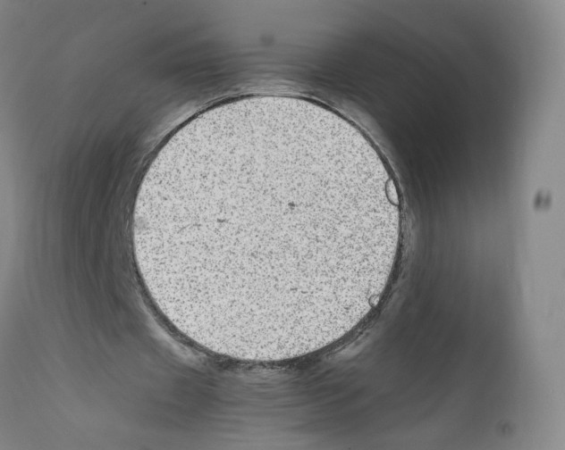 X0000111840433200909031707