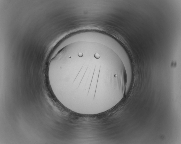 X0000111840436200909031707