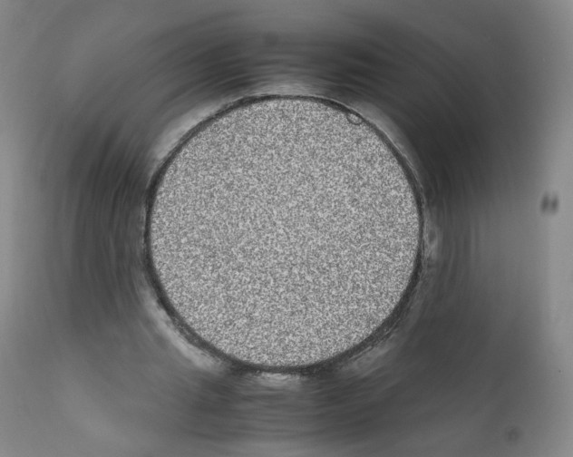 X0000111840437200909031707