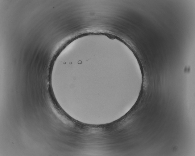 X0000111840438200909031707