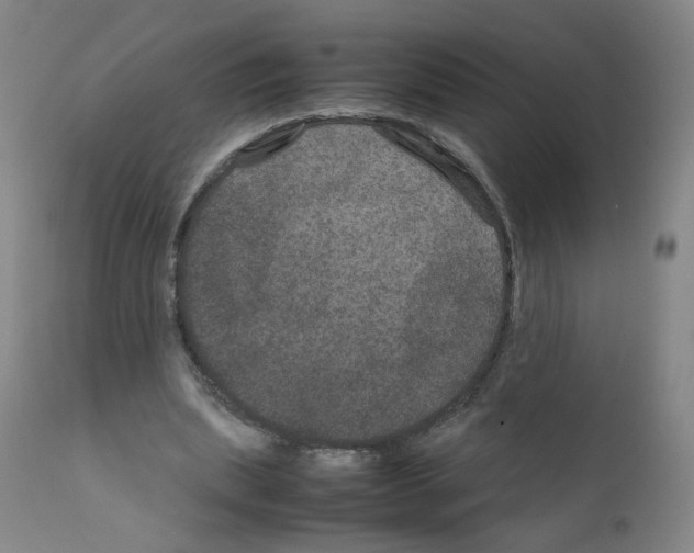 X0000111840439200909031707