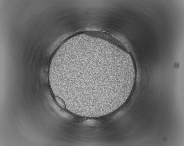 X0000111840441200909031707