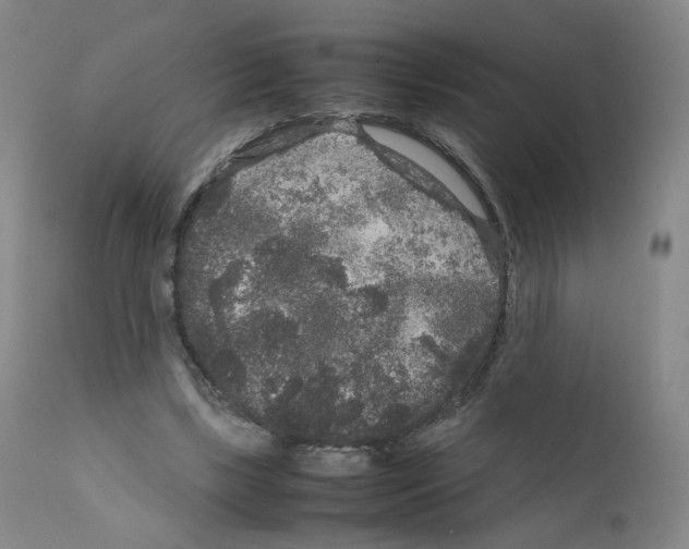 X0000111840443200909031707