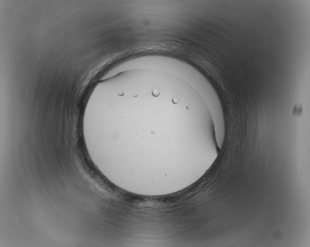 X0000111840444200909031707