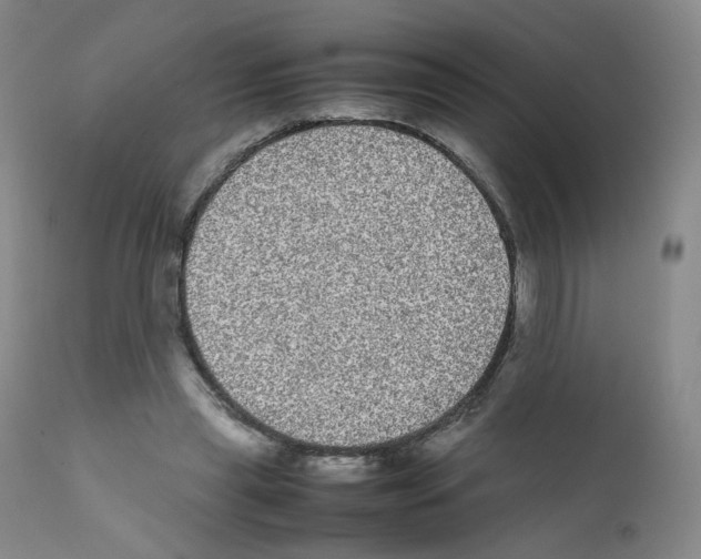 X0000111840445200909031708