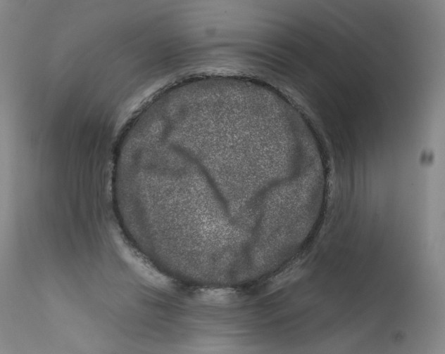 X0000111840446200909031708