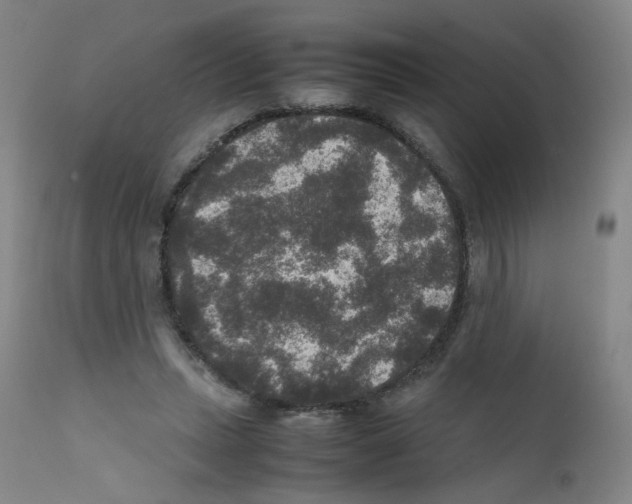 X0000111840447200909031708