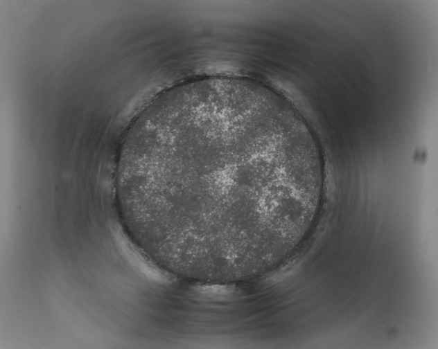 X0000111840449200909031708