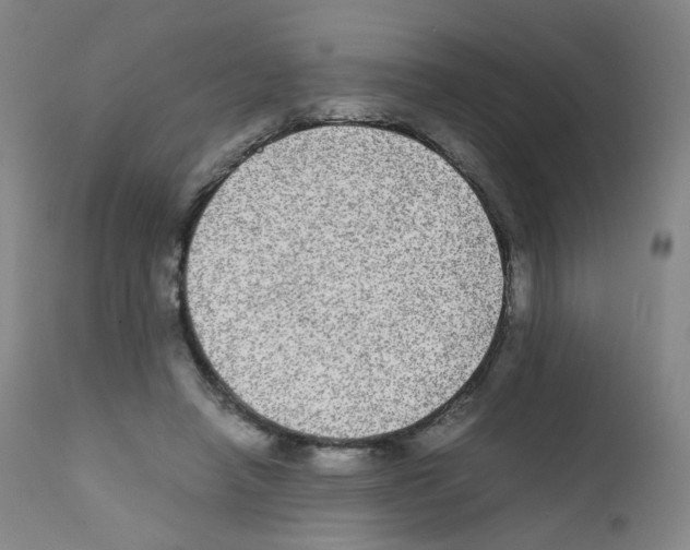 X0000111840450200909031708