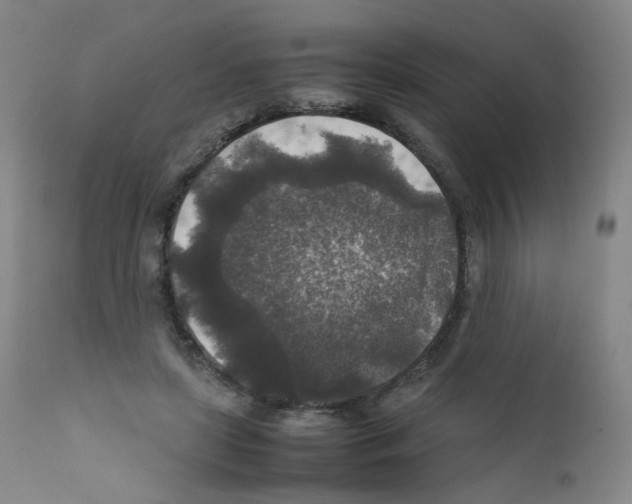 X0000111840451200909031708