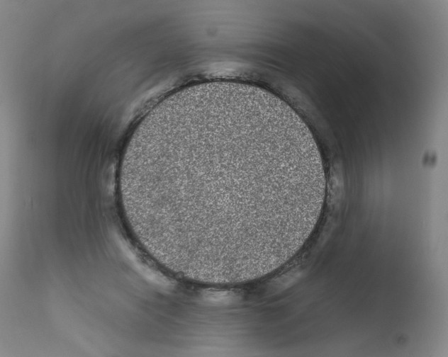 X0000111840454200909031708