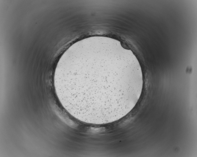 X0000111840455200909031708