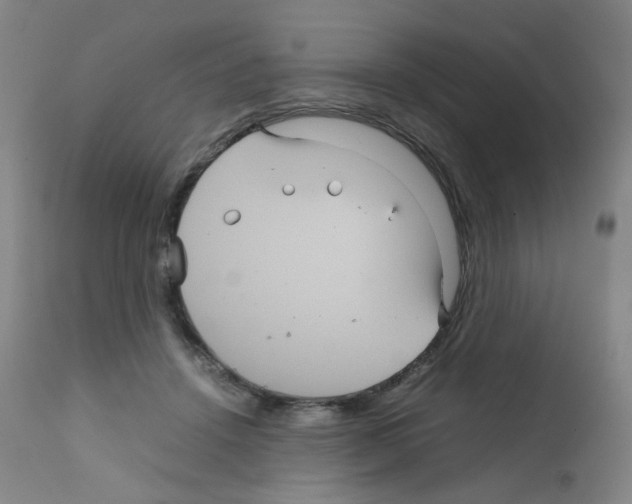 X0000111840456200909031708