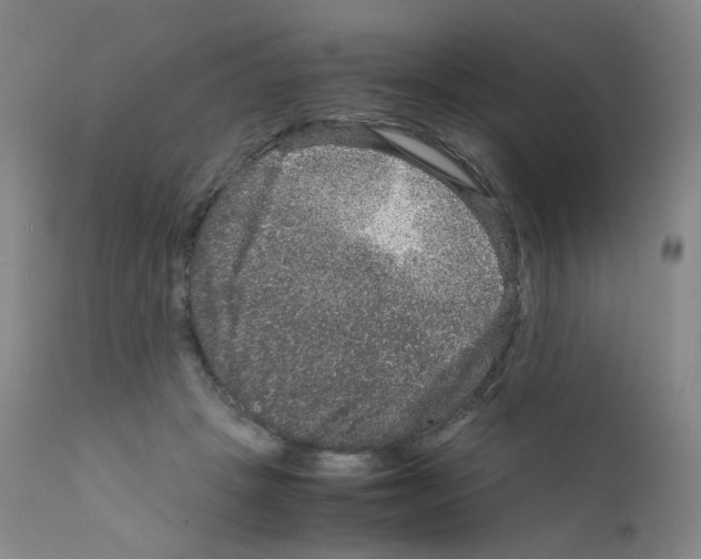 X0000111840457200909031708