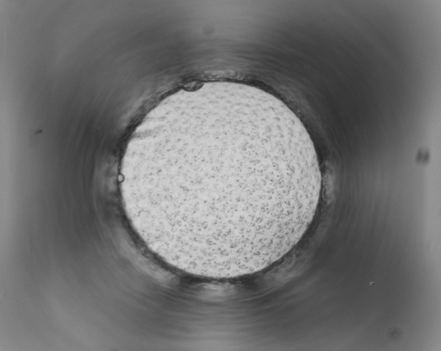 X0000111840458200909031708