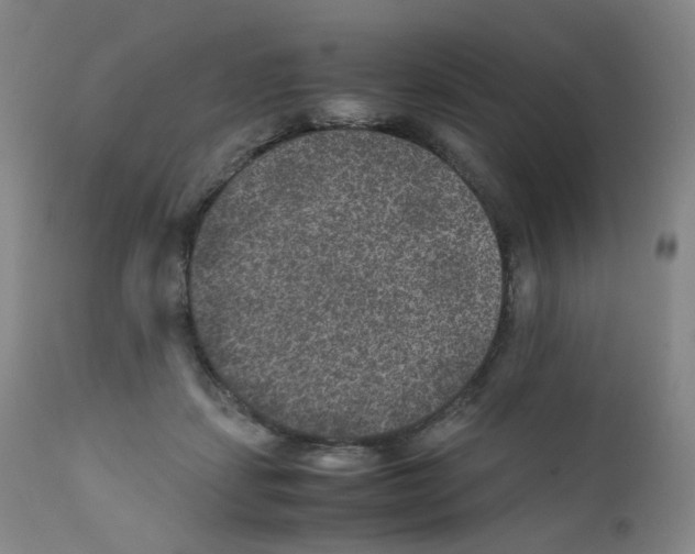 X0000111840459200909031708