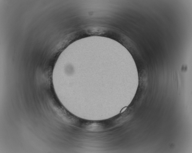 X0000111840460200909031708