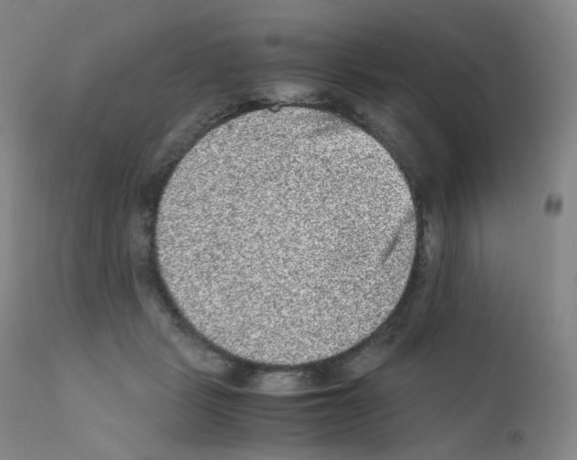 X0000111840461200909031708