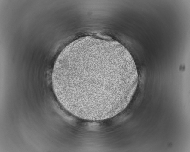 X0000111840462200909031708