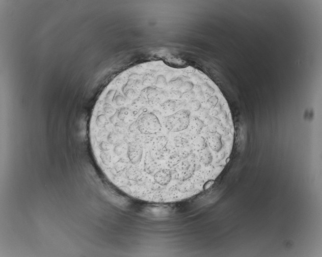 X0000111840466200909031708