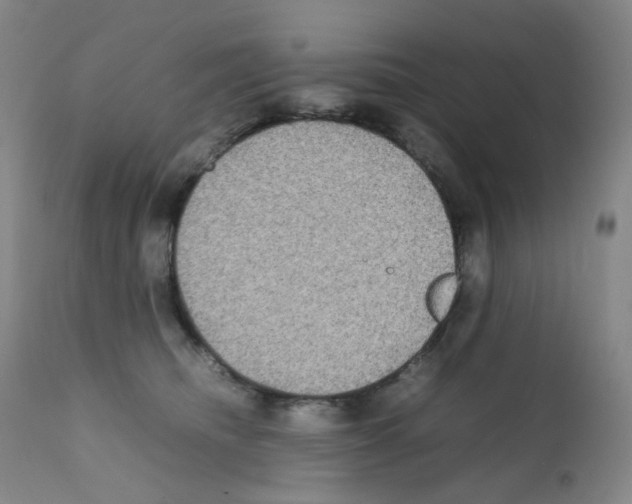 X0000111840468200909031708