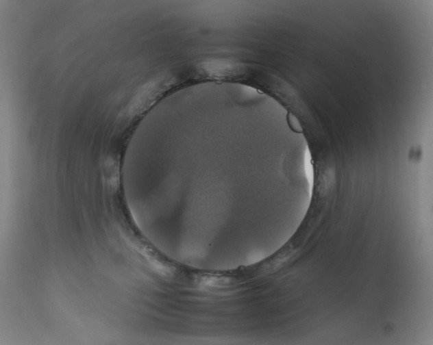 X0000111840471200909031708