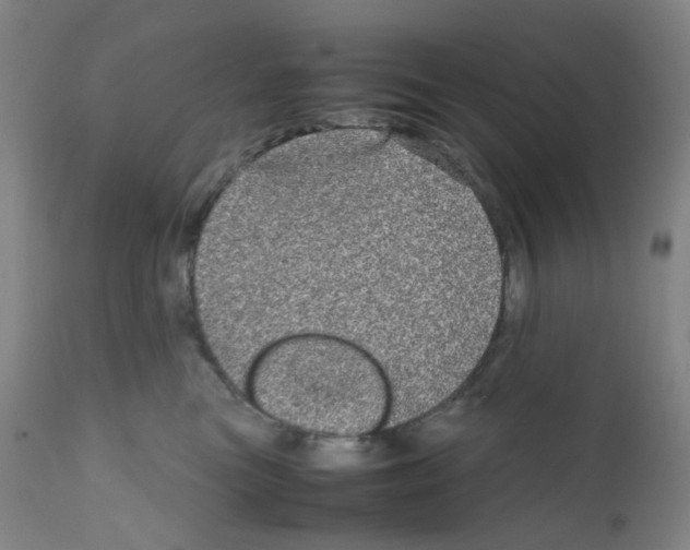 X0000111840473200909031708